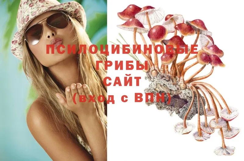 Псилоцибиновые грибы Psilocybine cubensis  где можно купить наркотик  Уржум 